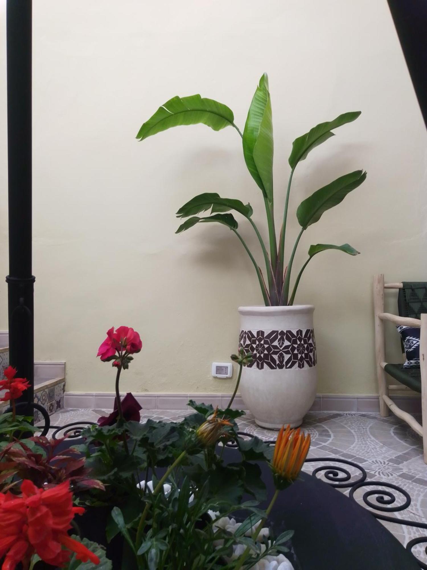Riad Bouganville Bleu Marrakesh Bagian luar foto