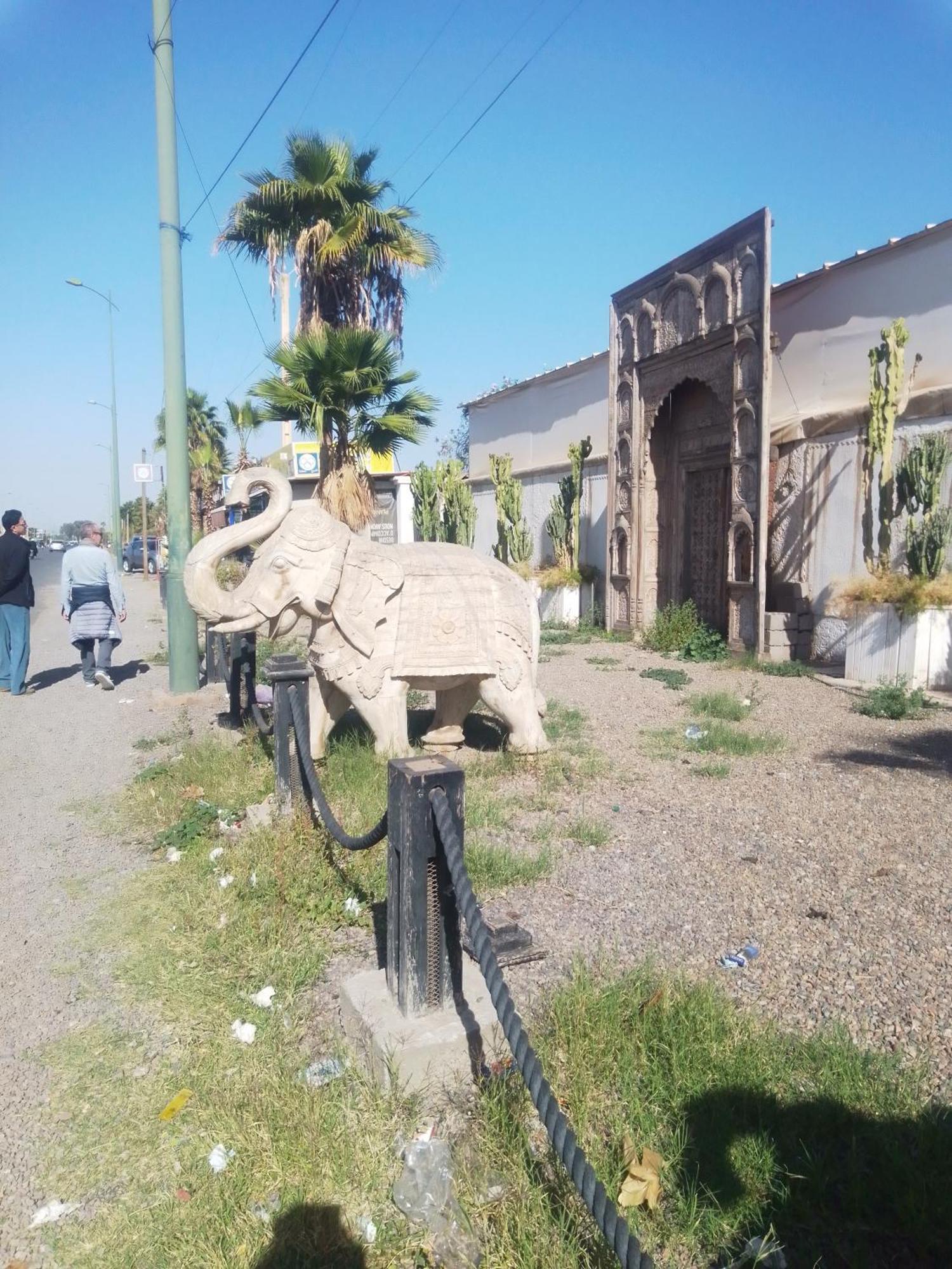 Riad Bouganville Bleu Marrakesh Bagian luar foto